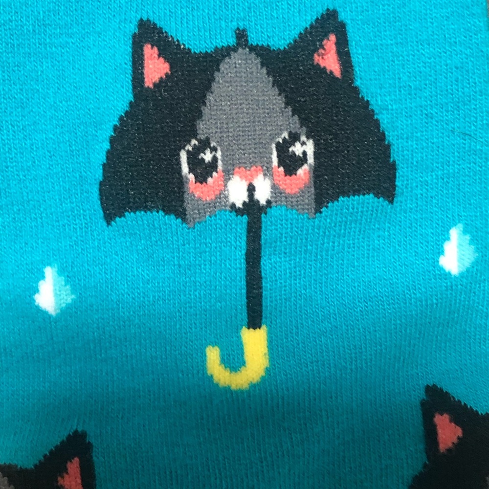 NWT Sock it To Me 50% Chance of Cats It’s Raining Cats Knee High Socks Blue - Picture 4 of 6